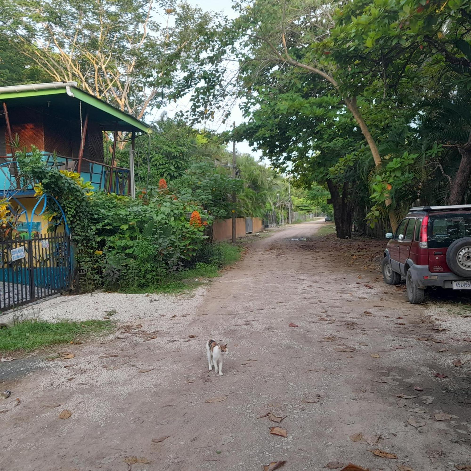 Cabinas Del Mar Sámara Екстериор снимка